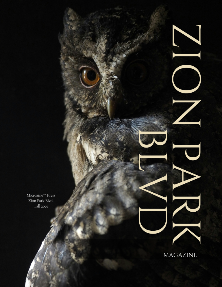zion park front cover
