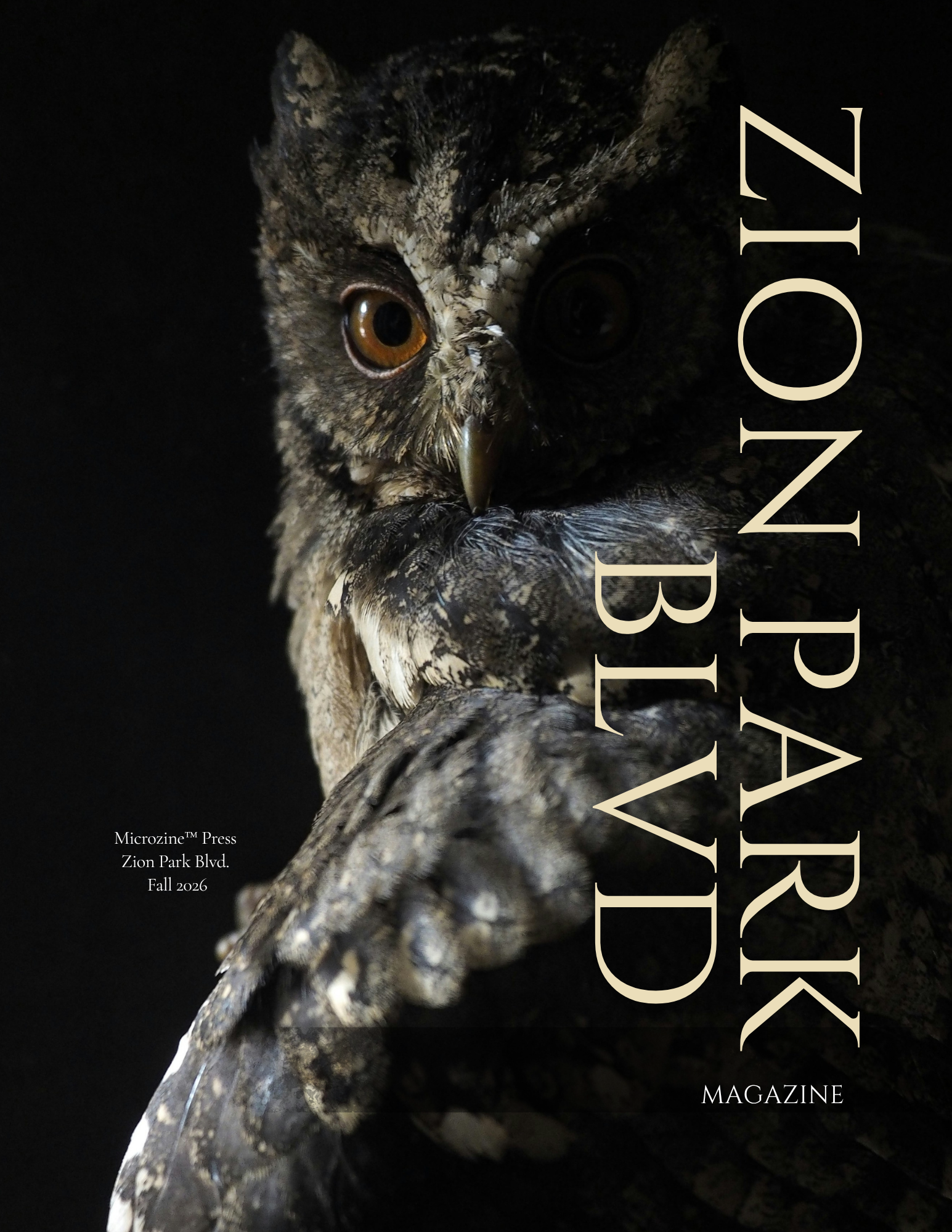 zion park front cover.webp